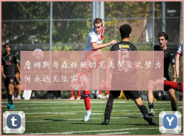 詹姆斯与森林狼的完美契合之梦为何永远无法实现