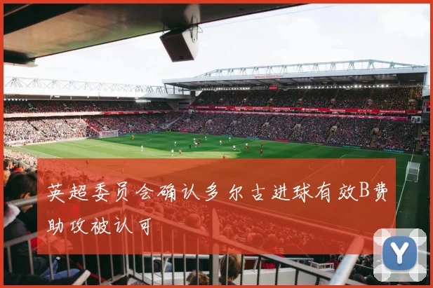 英超委员会确认多尔古进球有效B费助攻被认可